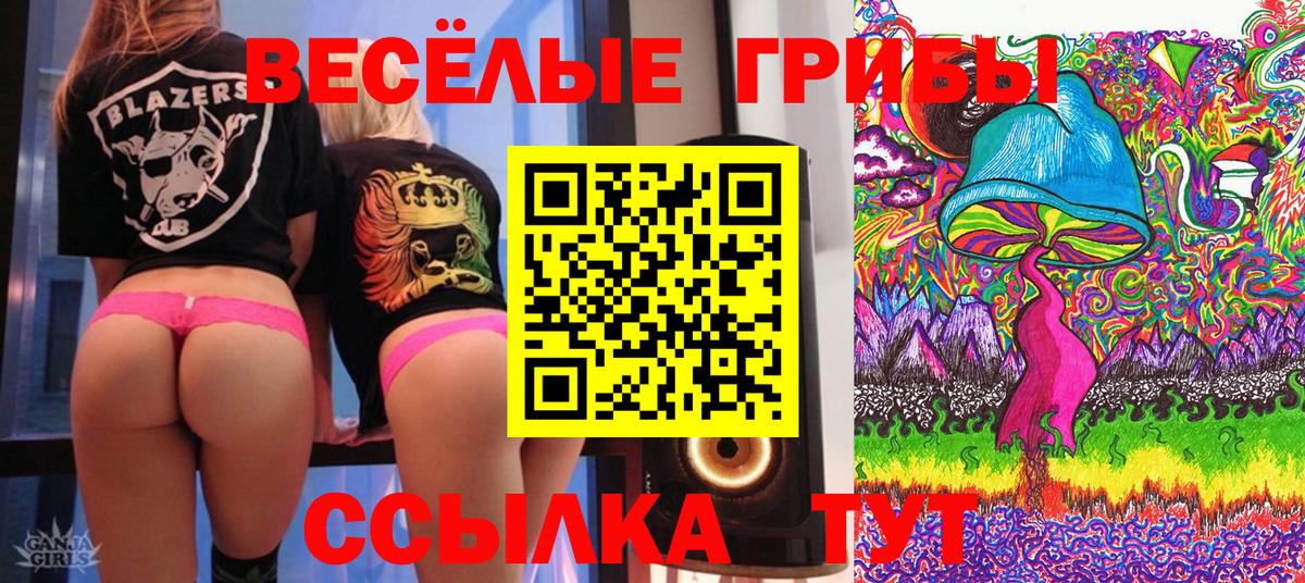 Псилоцибиновые грибы ЛСД Барнаул