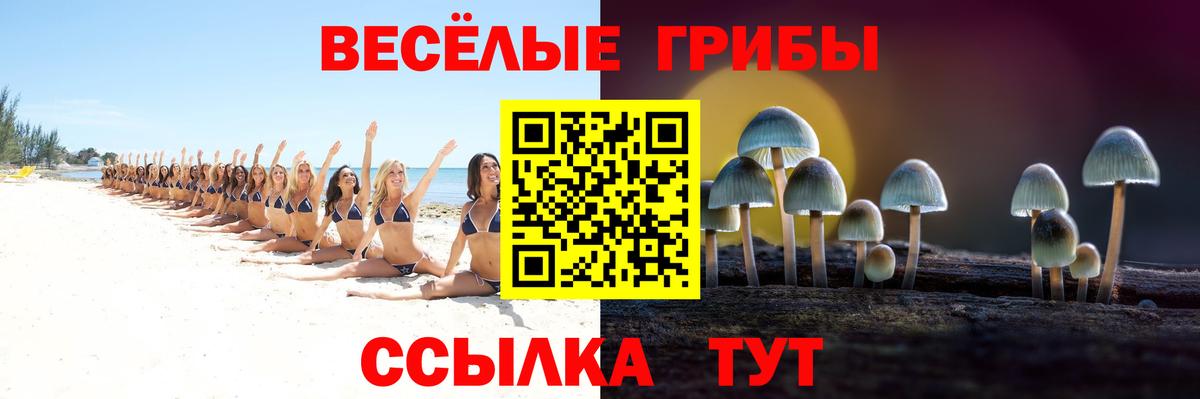 Галлюциногенные грибы GOLDEN TEACHER  Вход с VPN  Барнаул 
